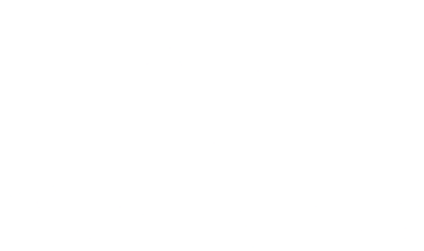 BeeToday